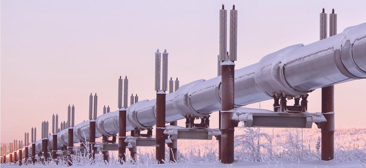 恒功率電伴熱和自限溫電伴熱，你還傻傻分不清嗎？